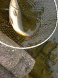 foto/diskuze/usti_nad_labem/2012/th-img49782.jpg