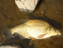 foto/diskuze/usti_nad_labem/2012/th-img49810.jpg