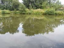 foto/diskuze/usti_nad_labem/2012/th-img50020.jpg