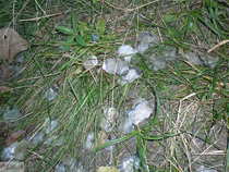 foto/diskuze/usti_nad_labem/2012/th-img50163.jpg