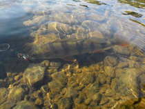 foto/diskuze/usti_nad_labem/2012/th-img50300.jpg