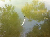 foto/diskuze/usti_nad_labem/2012/th-img50471.jpg