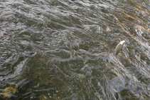 foto/diskuze/usti_nad_labem/2012/th-img50748.jpg