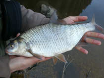 foto/diskuze/usti_nad_labem/2012/th-img51127.jpg