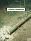 foto/diskuze/usti_nad_labem/2013/th-img102029.png