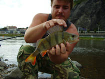 foto/diskuze/usti_nad_labem/2013/th-img103988.jpg