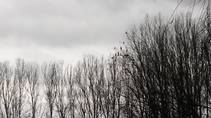 foto/diskuze/usti_nad_labem/2015/th-img116629.jpg