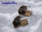 foto/diskuze/vseobecna/2005/th-img10419.jpg
