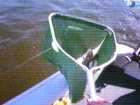 foto/diskuze/vseobecna/2005/th-img10749.jpg