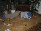 foto/diskuze/vseobecna/2005/th-img12020.jpg