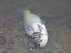 foto/diskuze/vseobecna/2005/th-img12654.jpg