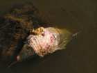 foto/diskuze/vseobecna/2005/th-img13120.jpg