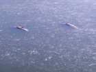 foto/diskuze/vseobecna/2005/th-img13155.jpg