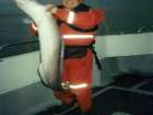 foto/diskuze/vseobecna/2005/th-img13616.jpg