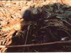 foto/diskuze/vseobecna/2005/th-img14523.jpg