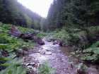 foto/diskuze/vseobecna/2005/th-img15432.jpg