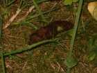 foto/diskuze/vseobecna/2005/th-img17663.jpg