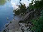 foto/diskuze/vseobecna/2005/th-img17789.jpg