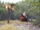 foto/diskuze/vseobecna/2005/th-img18289.jpg