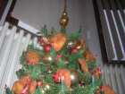 foto/diskuze/vseobecna/2005/th-img26925.jpg