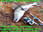 foto/diskuze/vseobecna/2005/th-img27623.jpg