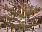foto/diskuze/vseobecna/2005/th-img27656.jpg