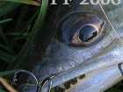 foto/diskuze/vseobecna/2005/th-img27896.jpg