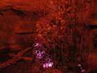 foto/diskuze/vseobecna/2005/th-img8176.jpg