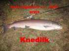 foto/diskuze/vseobecna/2006/th-img10326.jpg