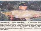 foto/diskuze/vseobecna/2006/th-img6454.jpg