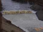 foto/diskuze/vseobecna/2006/th-img6922.jpg