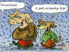 foto/diskuze/vseobecna/2006/th-img7115.jpg