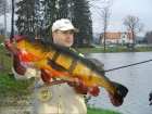 foto/diskuze/vseobecna/2006/th-img7869.jpg