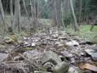foto/diskuze/vseobecna/2007/th-img11748.jpg