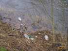 foto/diskuze/vseobecna/2008/th-img16060.jpg