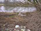foto/diskuze/vseobecna/2008/th-img16061.jpg