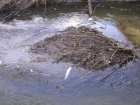 foto/diskuze/vseobecna/2008/th-img16227.jpg