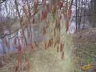 foto/diskuze/vseobecna/2008/th-img16364.jpg