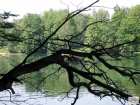 foto/diskuze/vseobecna/2008/th-img18455.jpg