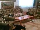 foto/diskuze/vseobecna/2008/th-img19744.jpg