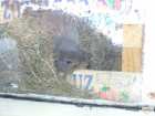 foto/diskuze/vseobecna/2009/th-img22123.jpg