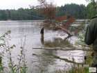 foto/diskuze/vseobecna/2009/th-img22270.jpg