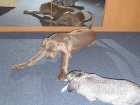 foto/diskuze/vseobecna/2009/th-img22295.jpg