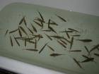 foto/diskuze/vseobecna/2009/th-img23981.jpg