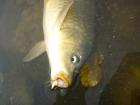 foto/diskuze/vseobecna/2009/th-img28988.jpg
