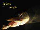 foto/diskuze/vseobecna/2009/th-img29686.jpg