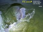 foto/diskuze/vseobecna/2009/th-img29697.jpg