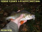 foto/diskuze/vseobecna/2009/th-img29698.jpg