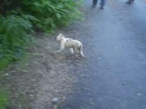 foto/diskuze/vseobecna/2010/th-img34704.jpg