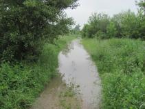 foto/diskuze/vseobecna/2010/th-img34722.jpg